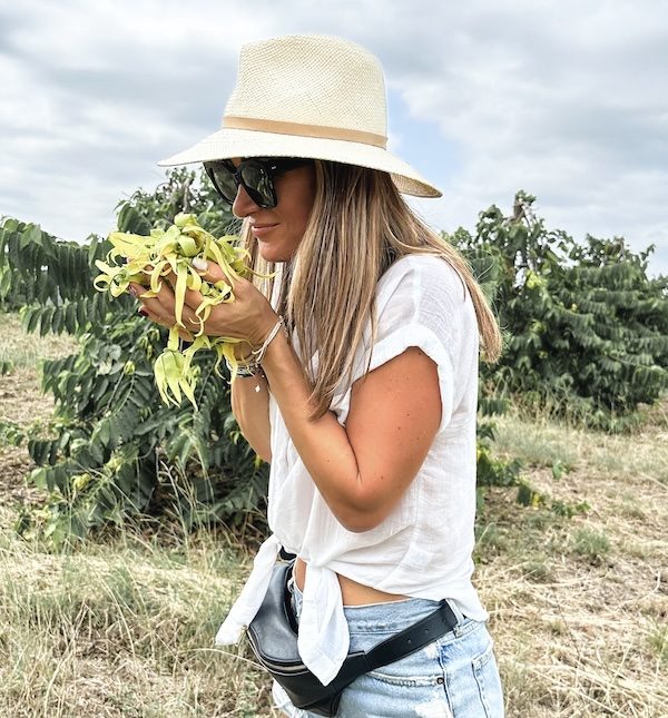 Farma ylang ylang